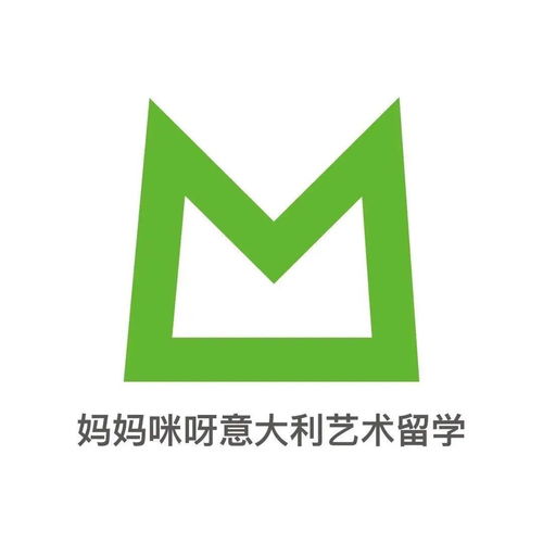 m翻譯版 都靈理工大學(xué)2020國際生 2021計(jì)劃生招生人數(shù)出爐,他來了